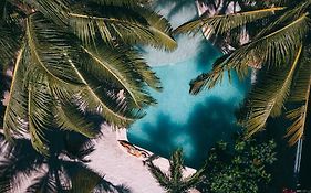 Zorba Tulum Beach Homes